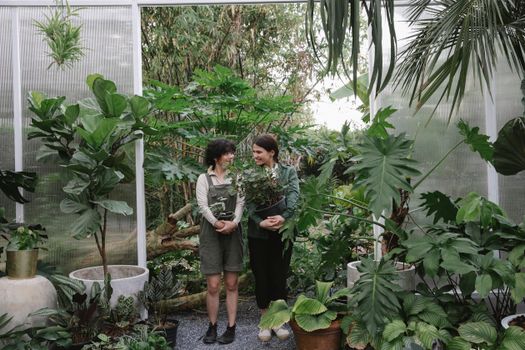 Full body of professional ethnic female gardeners looking at each other while standing with flowerpots in greenhouse with various plants with green leaves