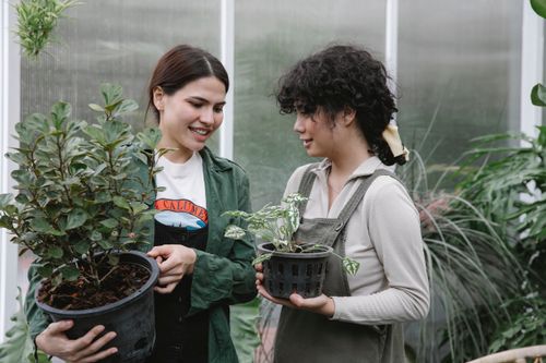 Free Positive female coworkers wearing uniforms with pots of green flowers while working near hothouse in orangery with abundance of plants Stock Photo