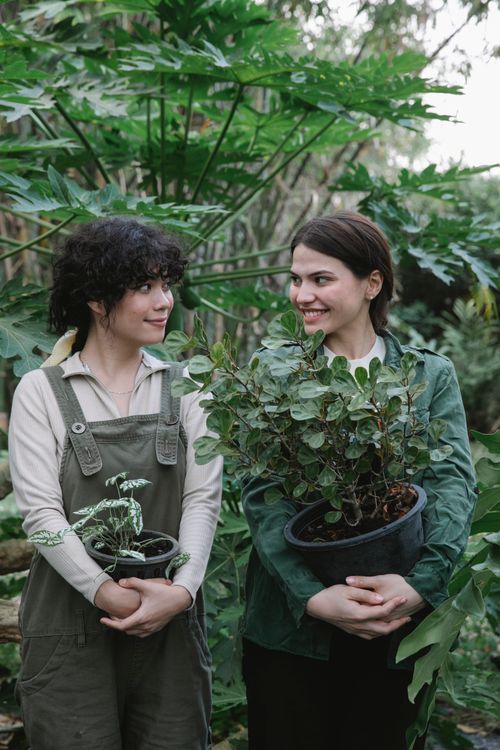 Free Cheerful female coworkers with flowers wearing uniform looking at each other while standing in orangery with abundance of green bush and plants Stock Photo