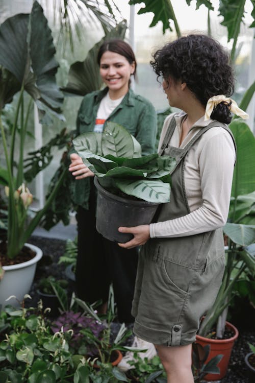 Cheerful ethnic gardeners with potted plants working in glasshouse