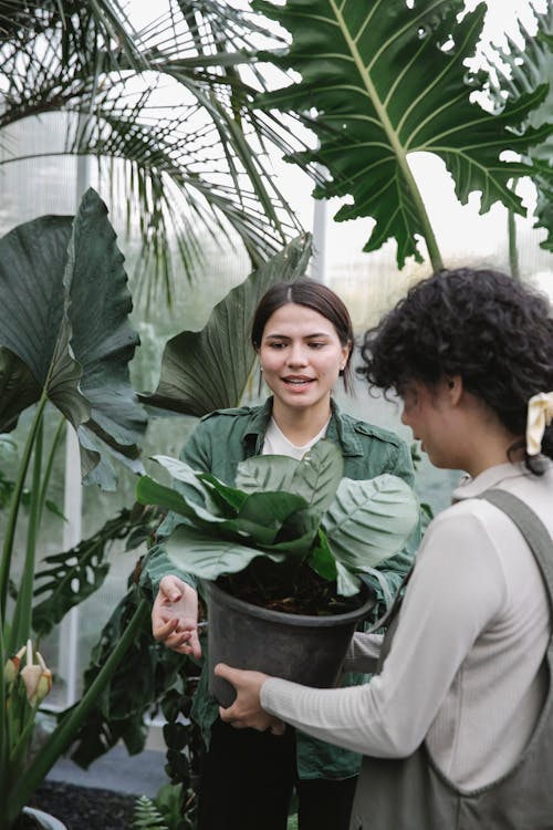 Cheerful ethnic gardeners with flowerpot in greenhouse