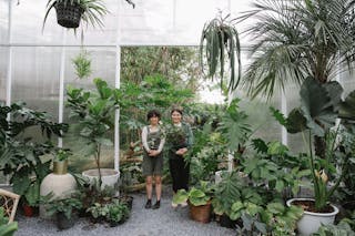 Full body of positive female coworkers with potted plants standing in hothouse with lush deciduous flowers during work in orangery
