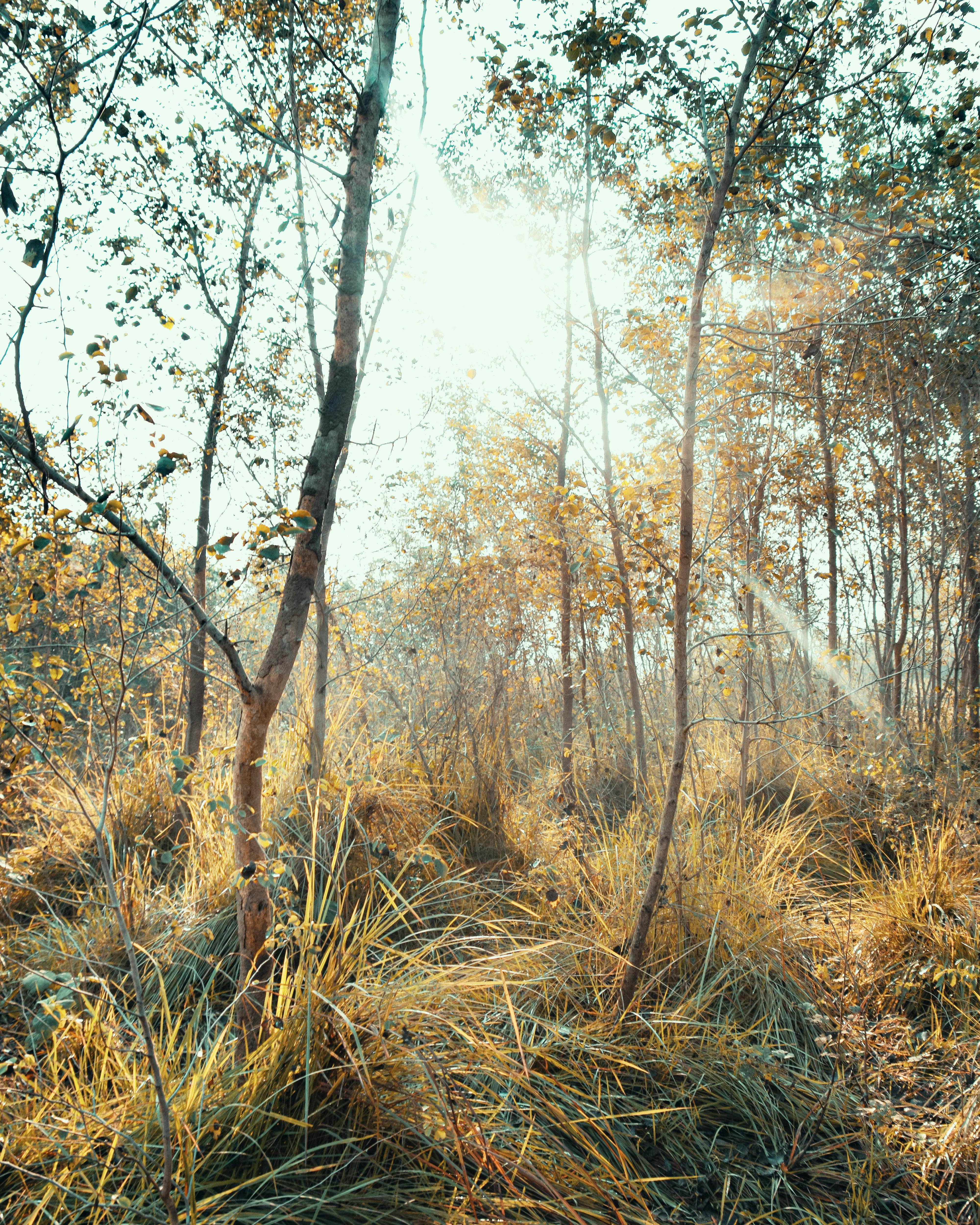 Military & Police Uniforms