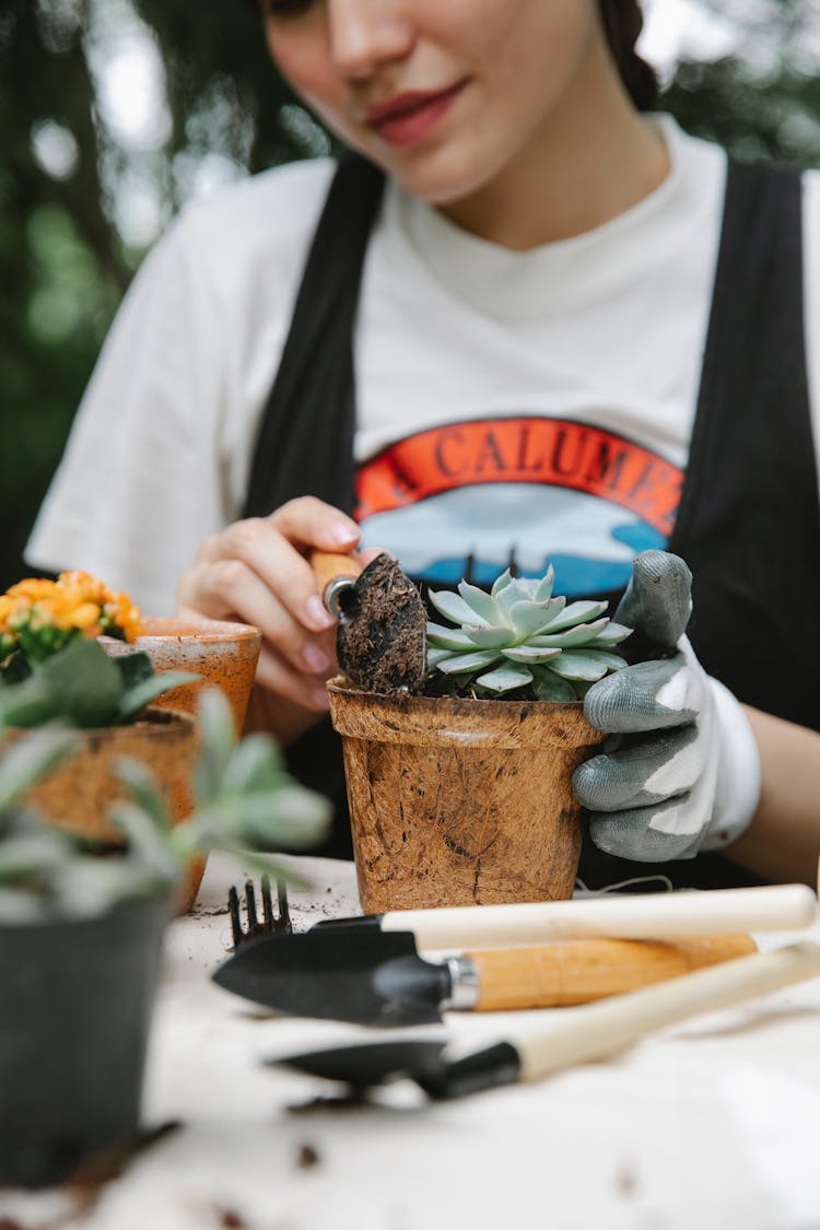 Crop Woman Planting Flower In Pot