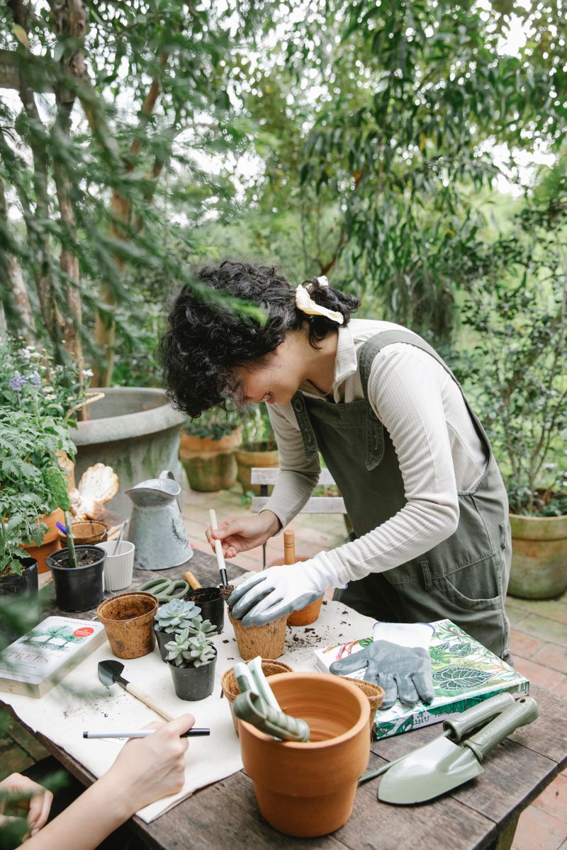Gardener potting colorful flowers at a wooden table