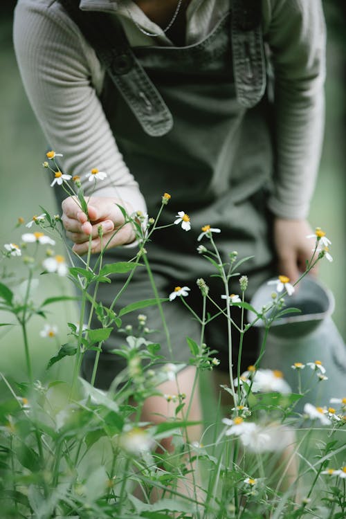 Crop woman with watering can standing near flowers in garden