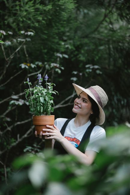 Positive ethnic female gardener in hat with blooming flower in pot walking in botanical garden with lush green leaves during work