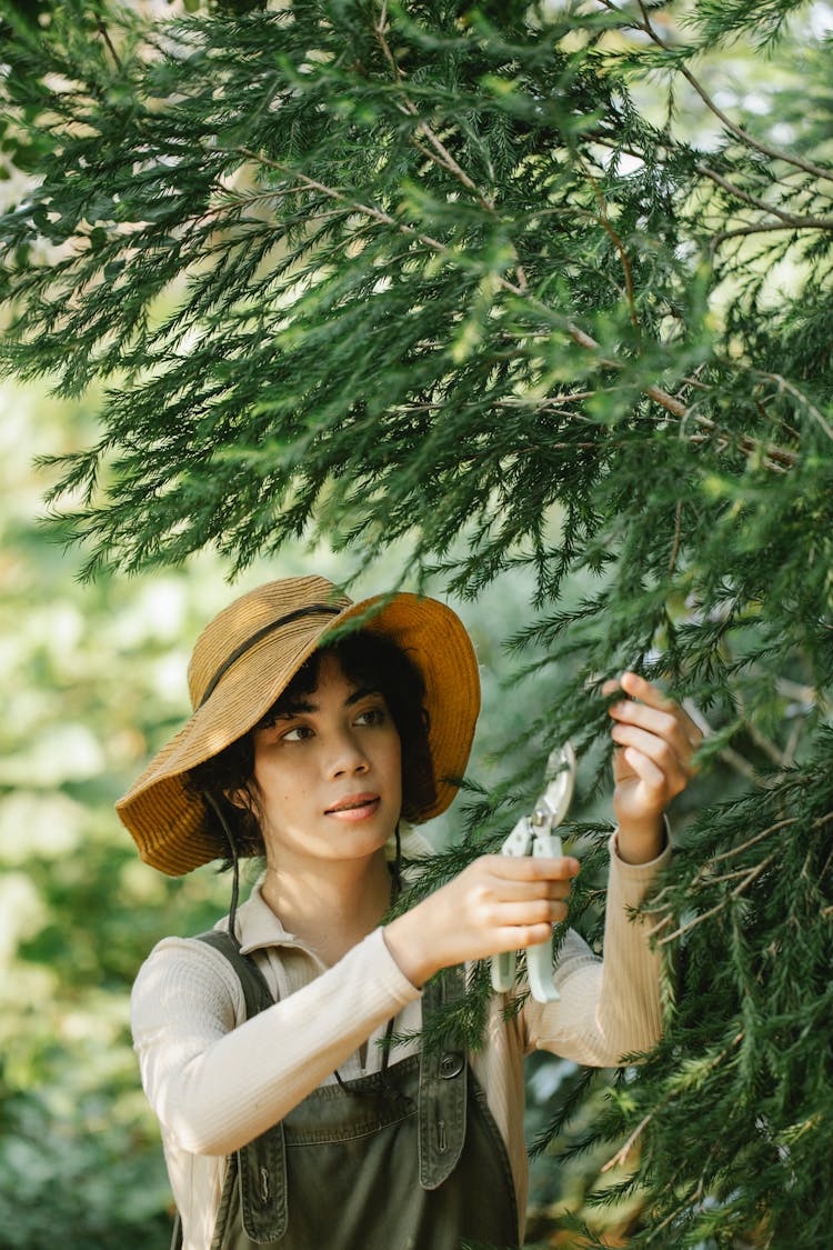 Focused Ethnic Woman Cutting Branches Of Tree