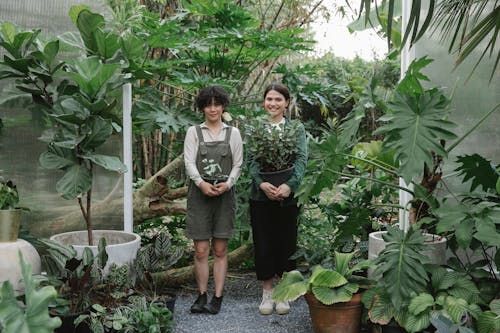 Female ethnic gardeners with pots in glasshouse