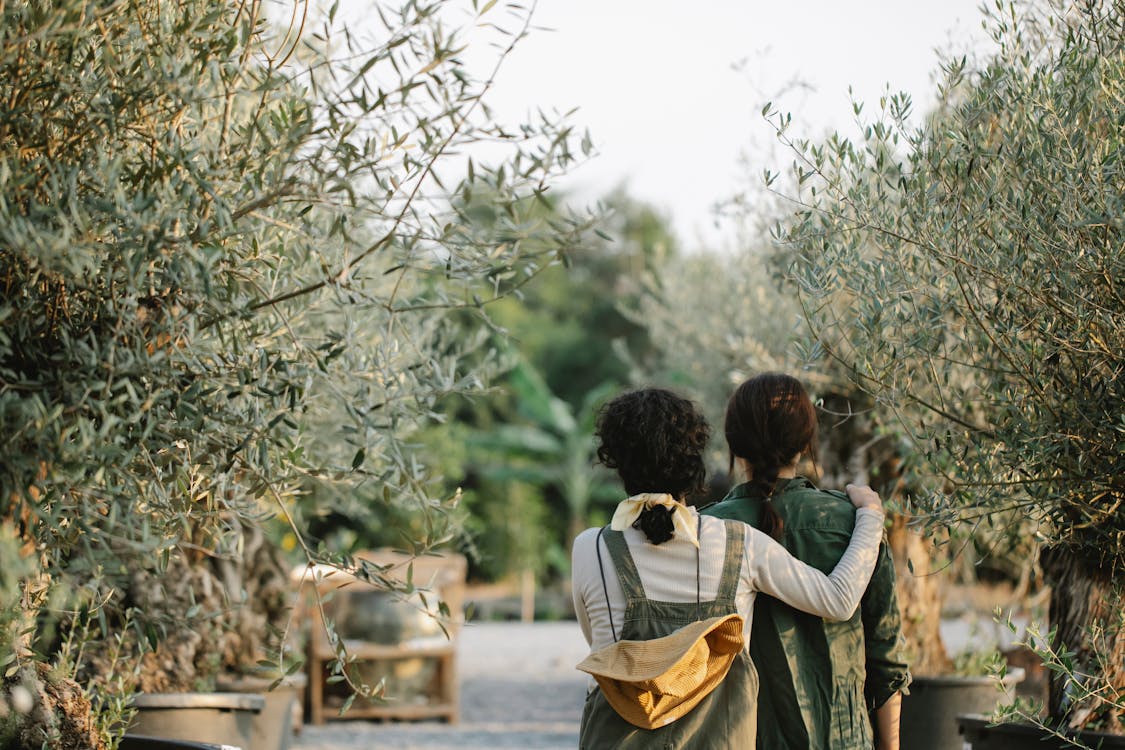 Free Back view of anonymous female gardeners hugging while standing in orangery with various green plants on blurred background during work Stock Photo
