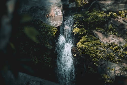 無料 H2O, 岩, 水の無料の写真素材 写真素材