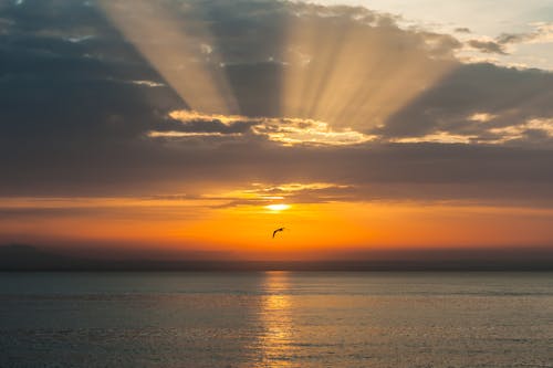 Photos gratuites de ciel, lever de soleil, mer