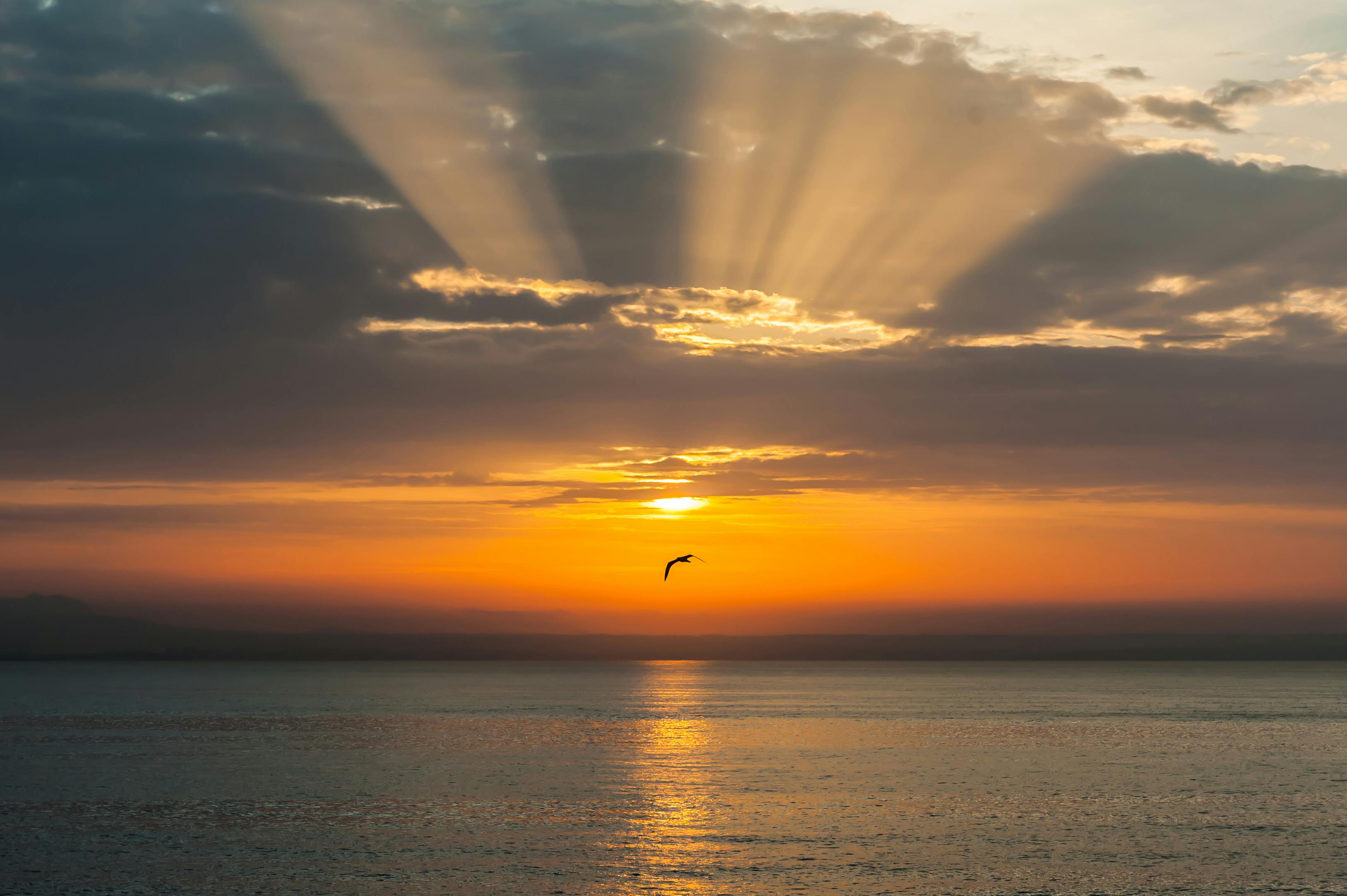 太陽 日の出 海の無料の写真素材