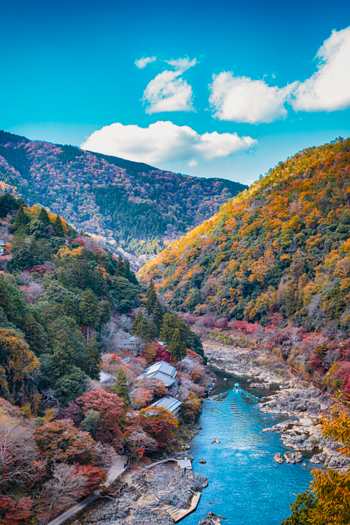 Free A stunning aerial view of a river flowing through a colorful autumn valley with vibrant foliage. Stock Photo