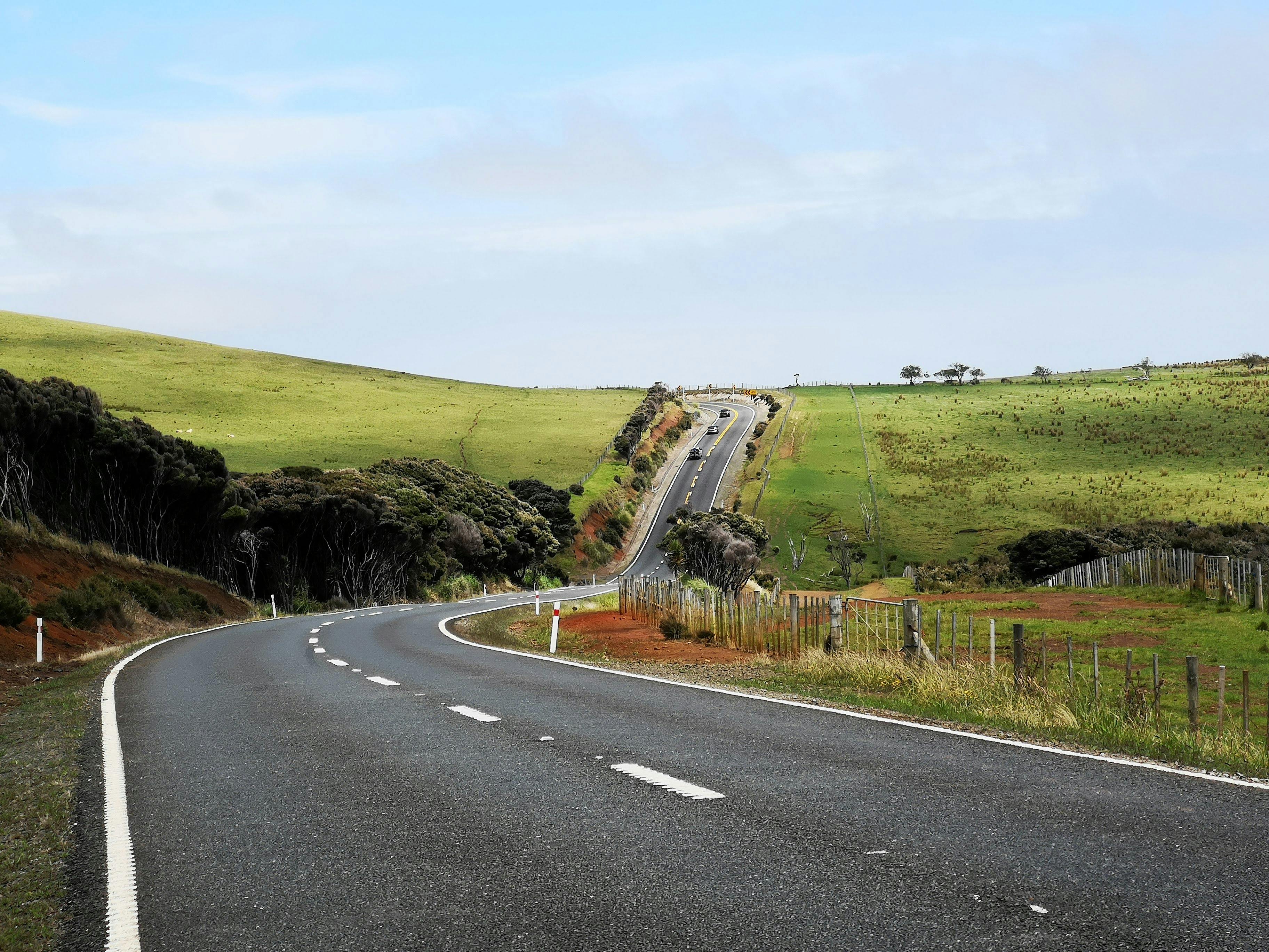 general travel new zealand tours — Photo by 飞 谢 on Pexels
