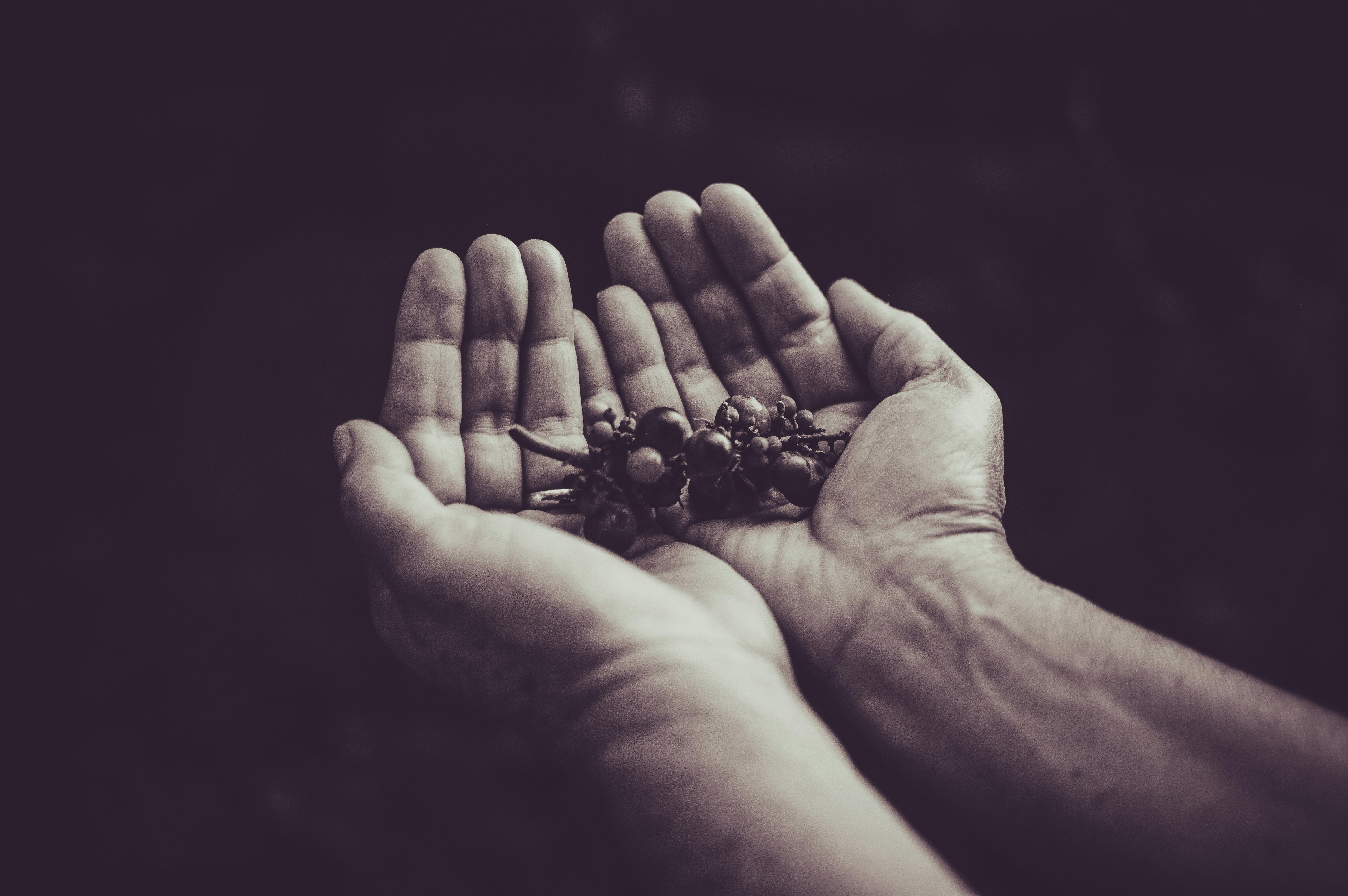 Grayscale Photography of a Person Holding Beans \u00b7 Free Stock Photo