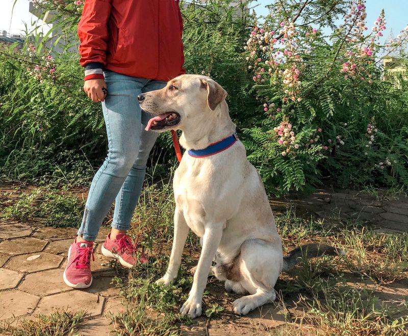Happy pet owner with dog and cat