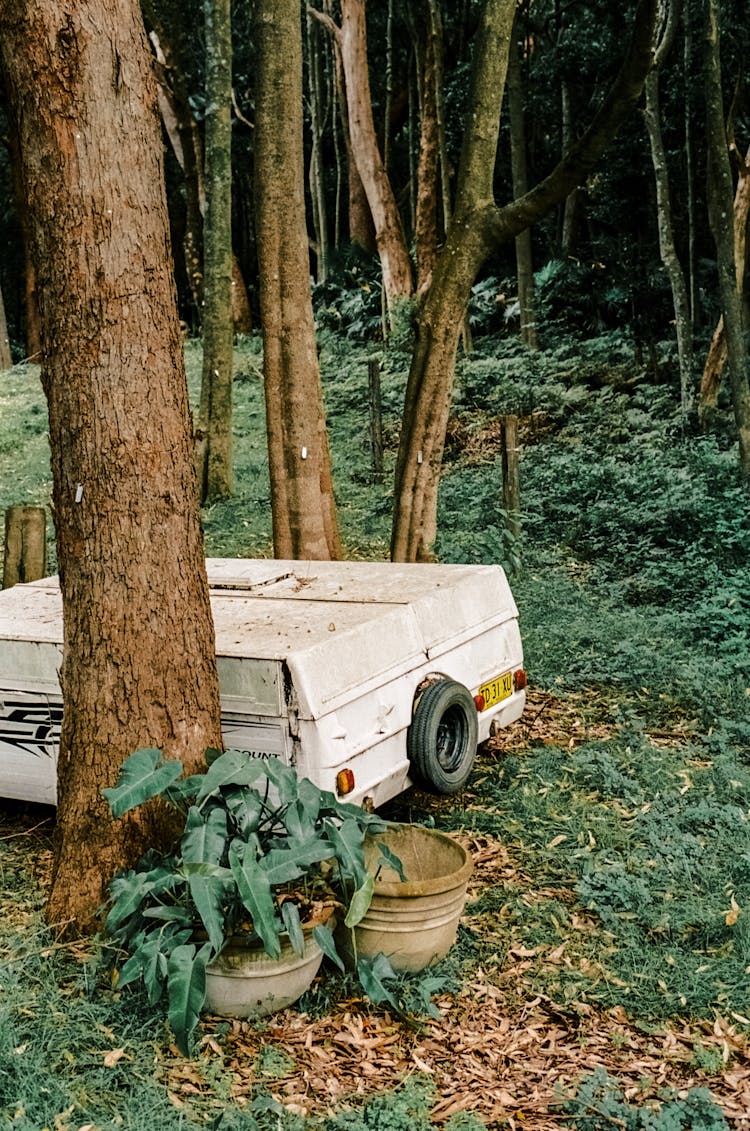 Foldable Caravan Parked In A Forest 