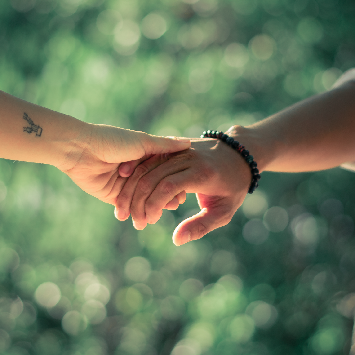 Close Up Photo of People Holding Hands · Free Stock Photo