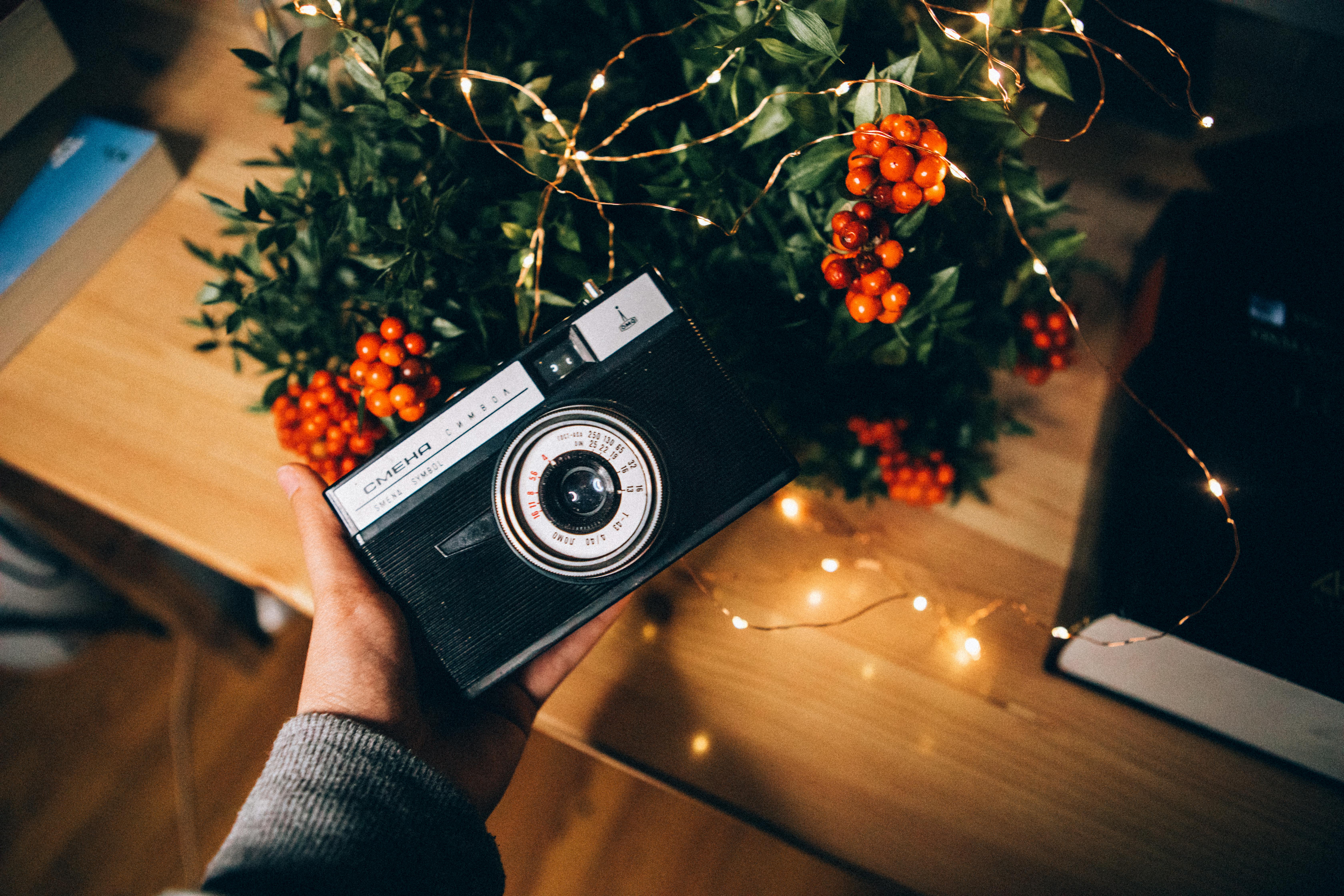 Vintage analog camera held over a wooden table with green leaves and orange berries.