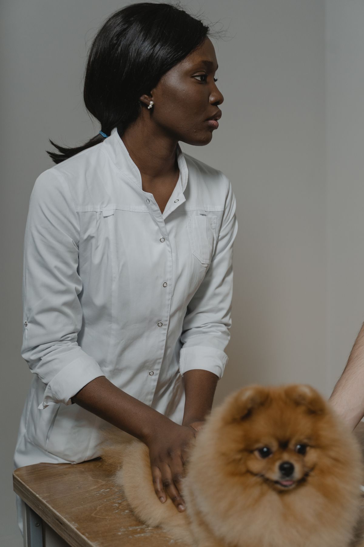 Reception desk in a small-animal clinic with a waiting owner