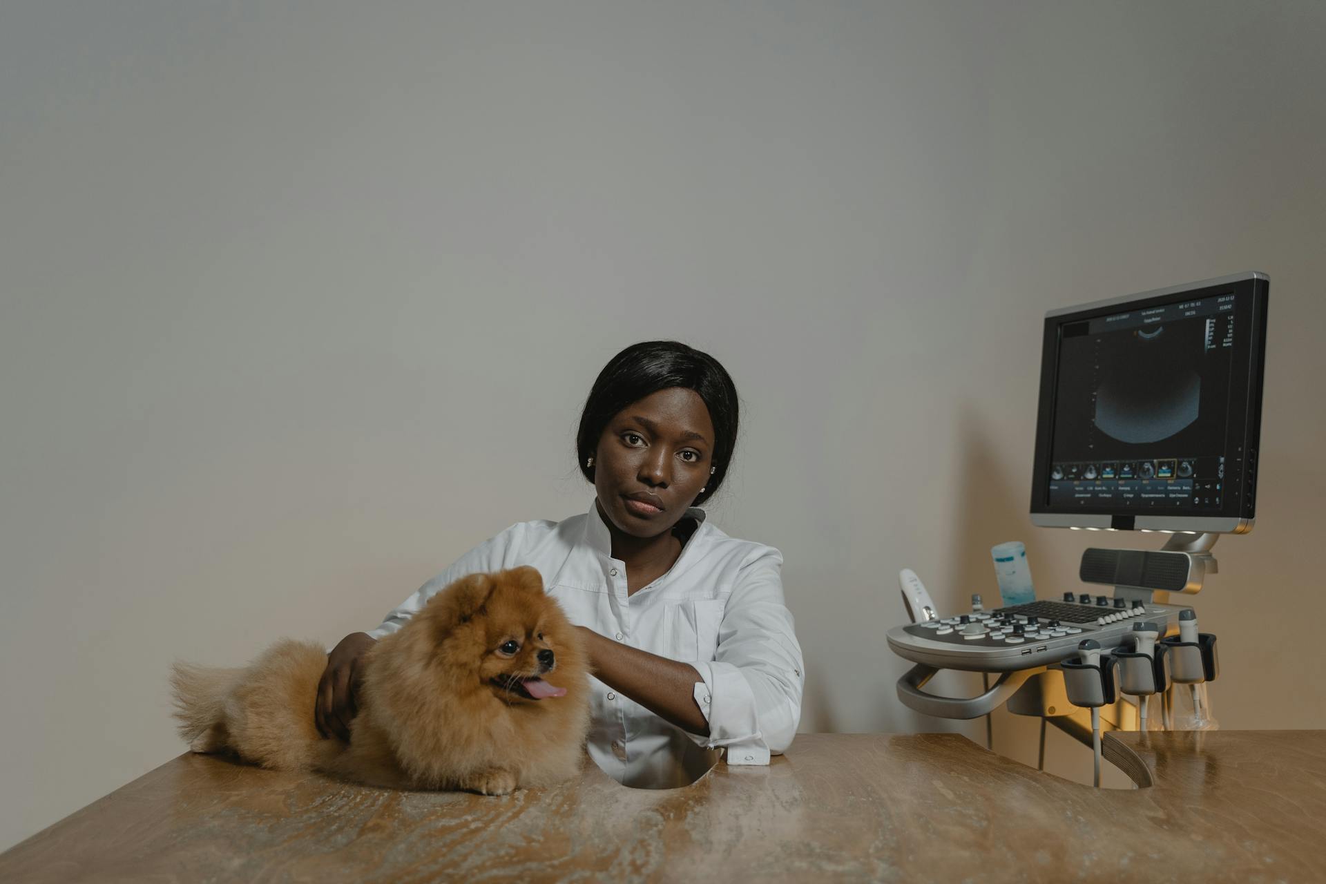 A Woman Holding a Pomeranian Dog