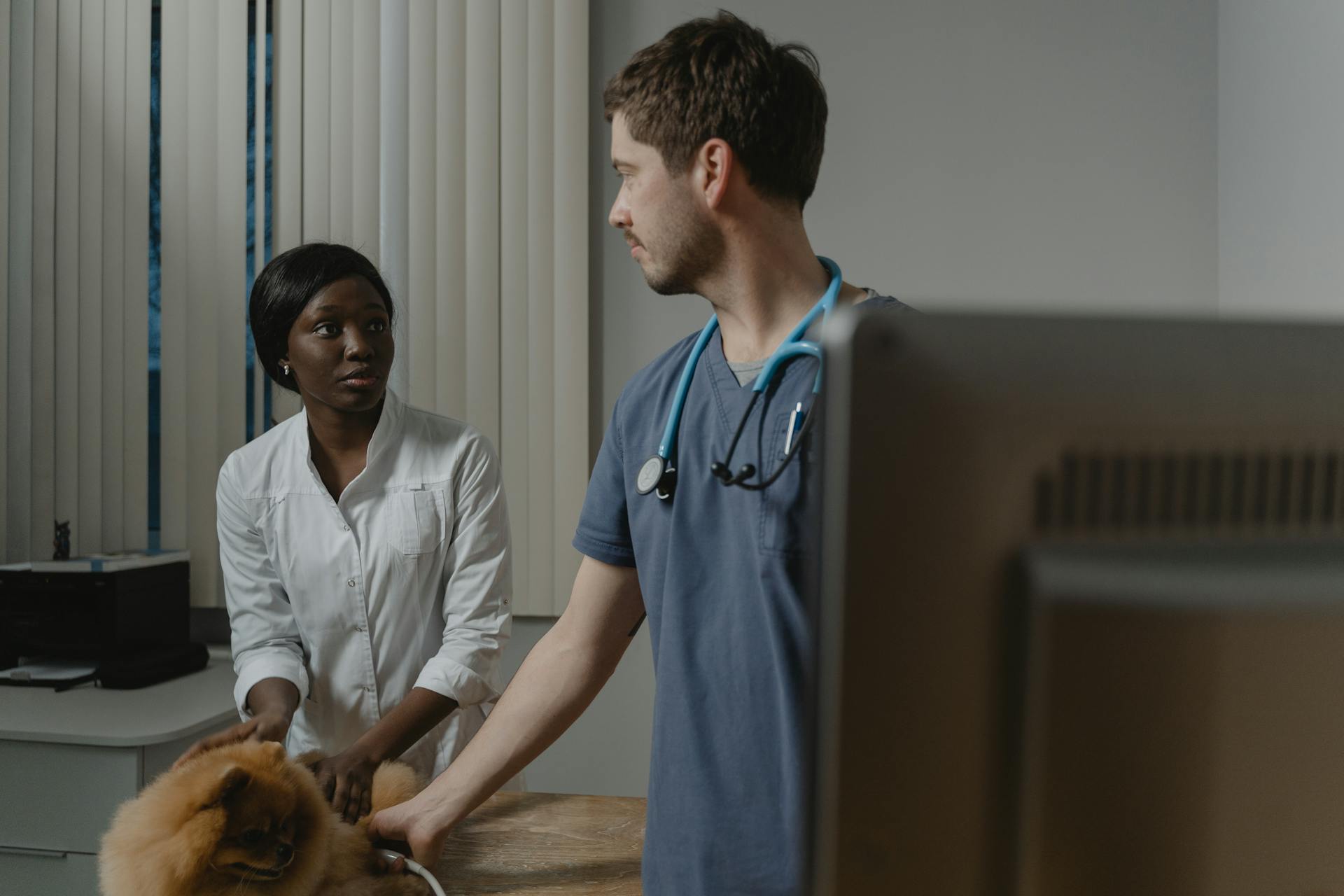 A Woman Bringing Her Pet to a Veterinarian