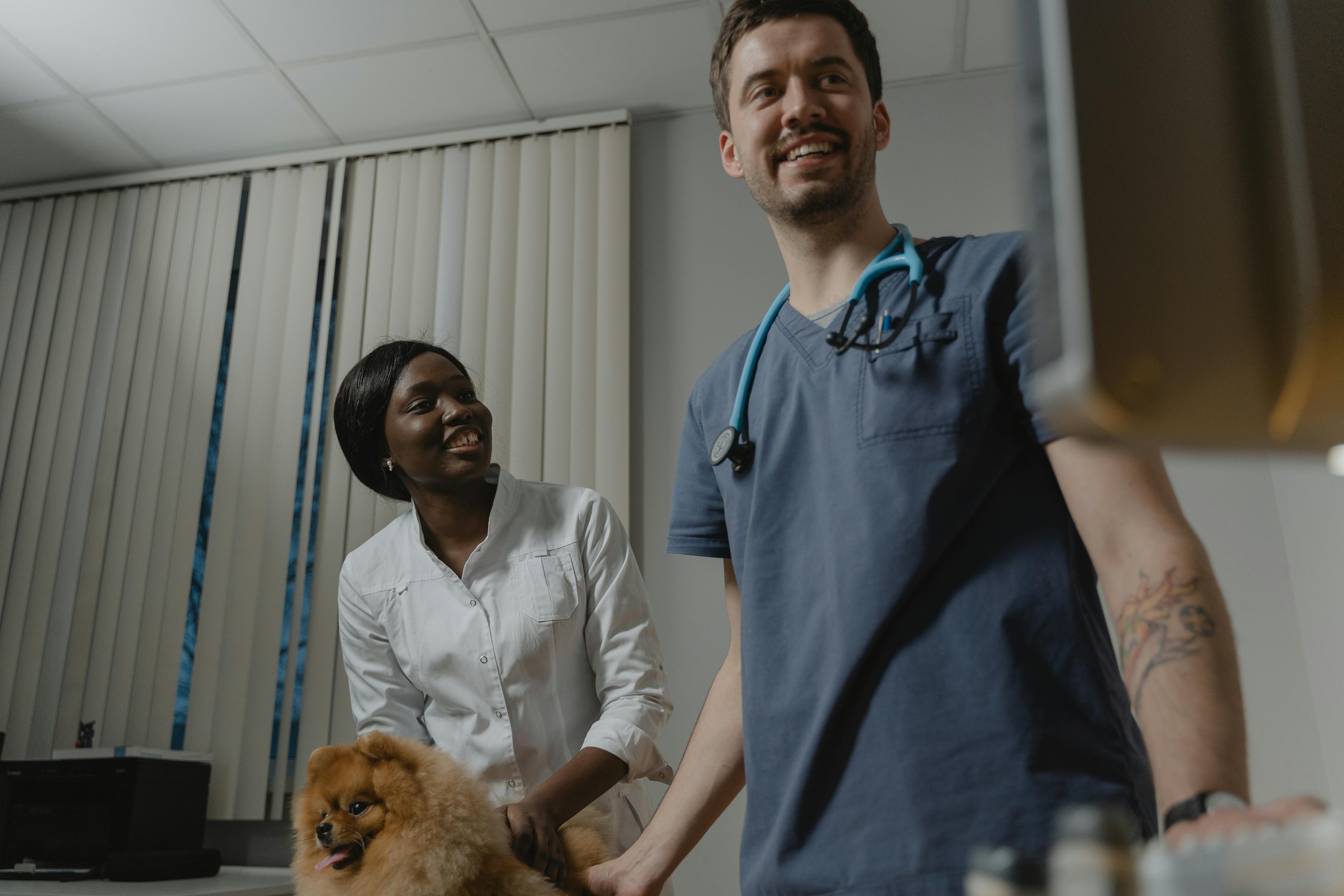 Pet Owner Holding a Pomeranian Dog while Standing Beside the Veterinarian