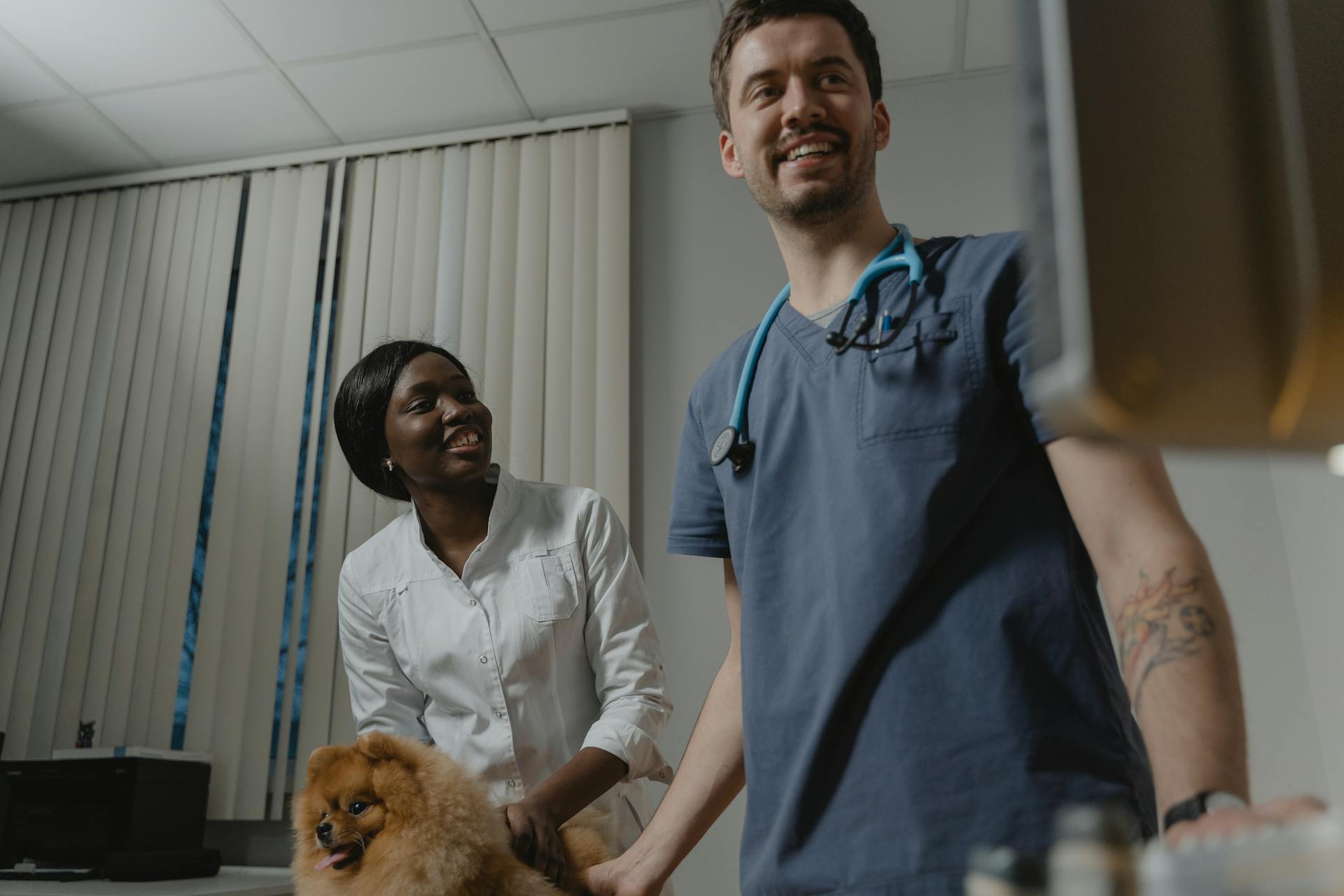 Propriétaire d'animal de compagnie tenant un chien de Poméranie à côté du vétérinaire