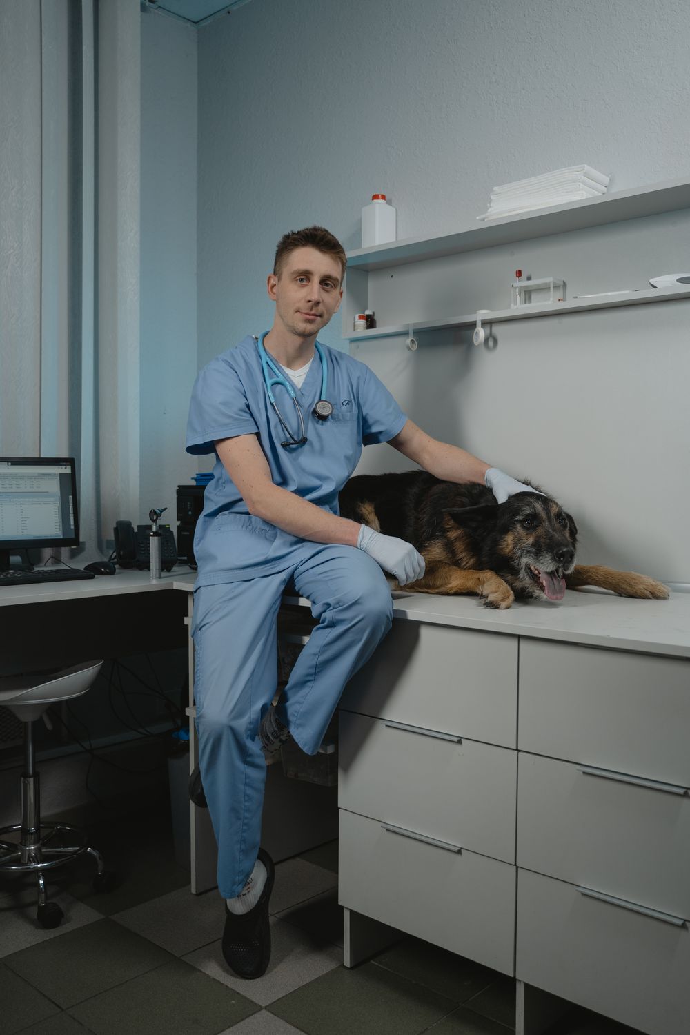 Veterinarian in blue scrubs holding a dog on an exam table