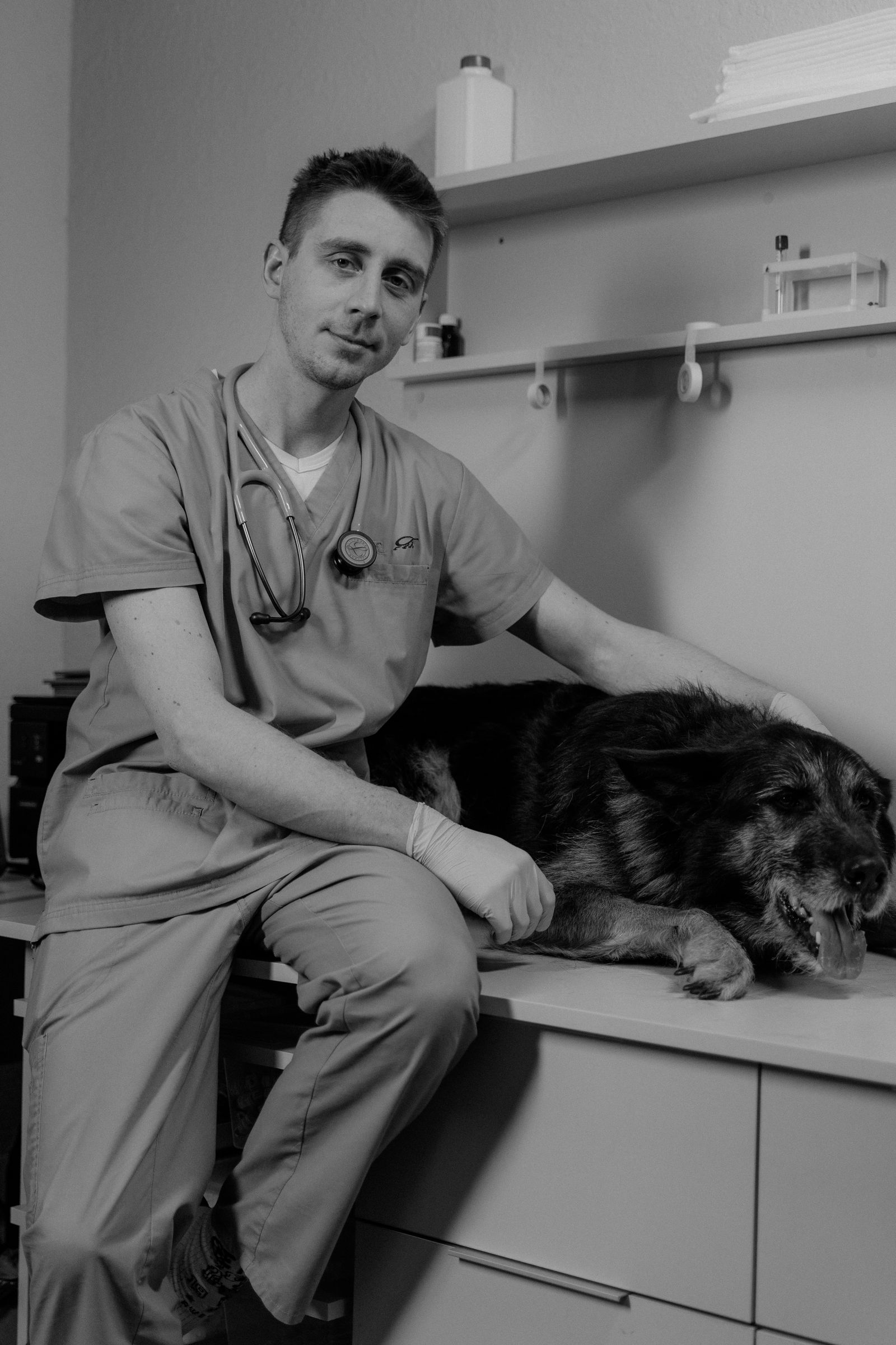 Veterinarian providing continued veterinary care for a dog