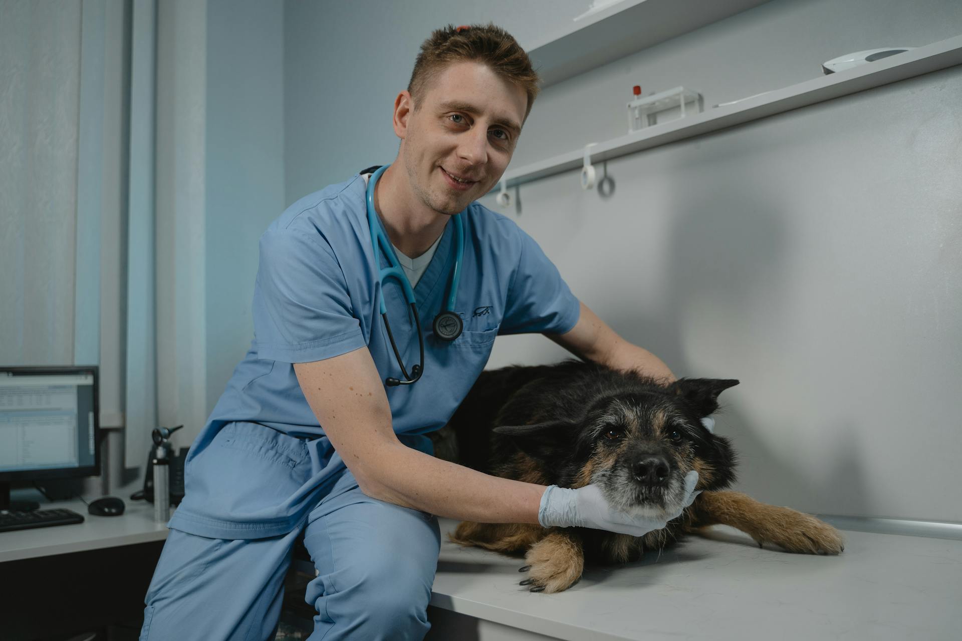 Een dierenarts zit naast een zwarte hond die op tafel ligt en lacht naar de camera.