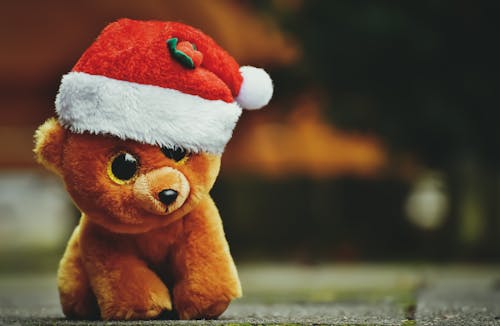 Free Close Up Photo of a Plush Toy with Santa Hat Stock Photo