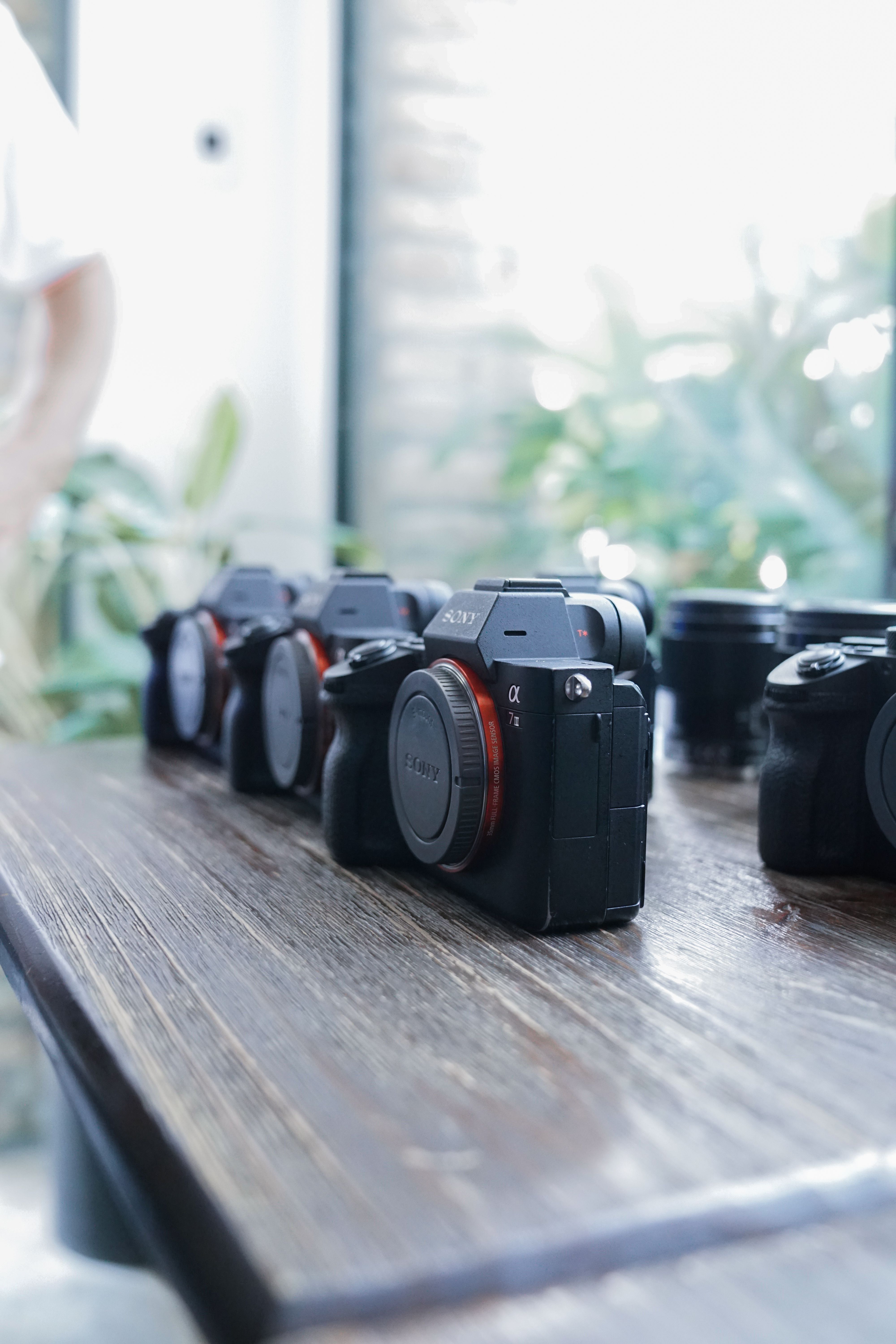 Sony Cameras Photos, Download The BEST Free Sony Cameras Stock Photos ...