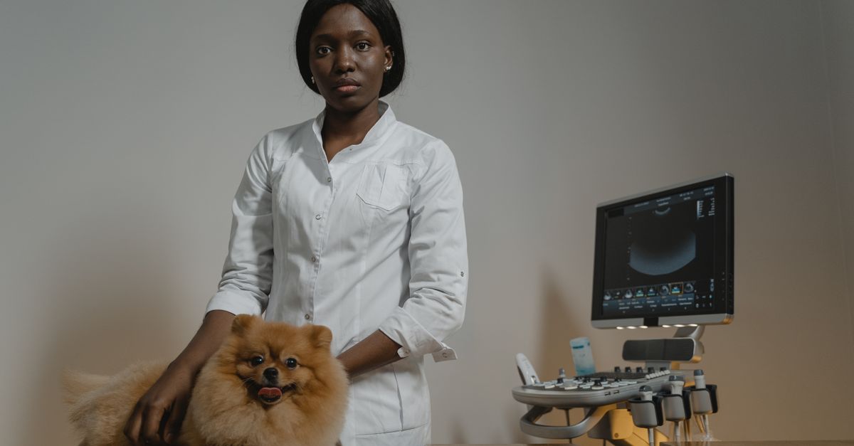 Centro Veterinario Milanese — lo studio e l'ambiente