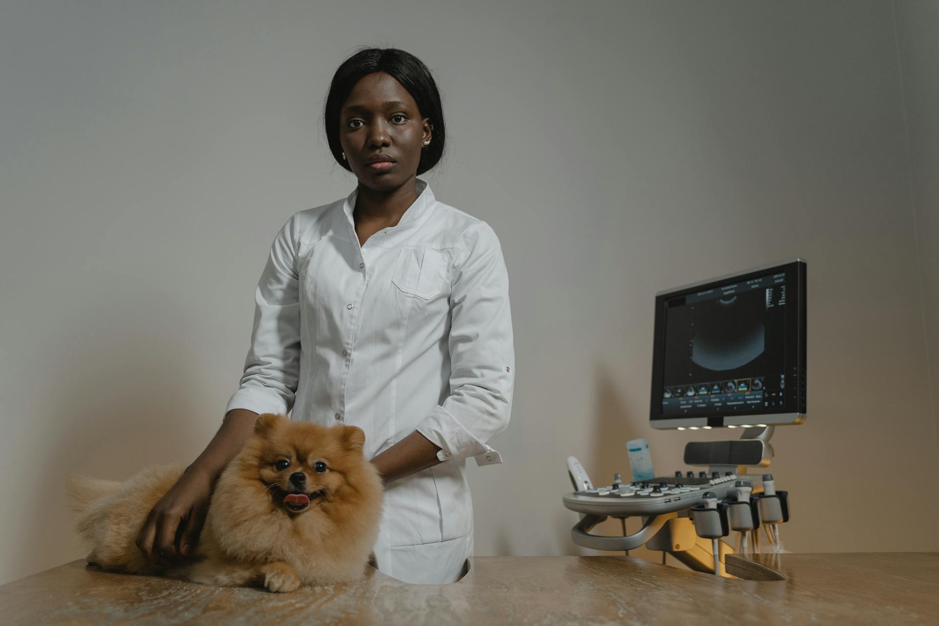 A Woman in White Long Sleeves Holding Brown Pomeranian