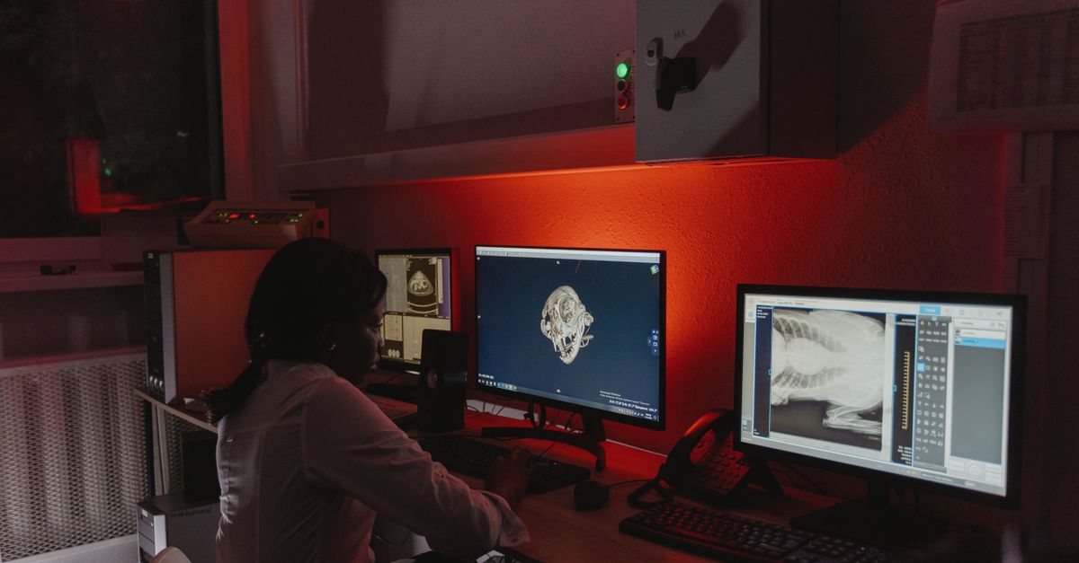 三星 AI 跨足寵物健康:手機鏡頭即診斷,免除昂貴穿戴裝置