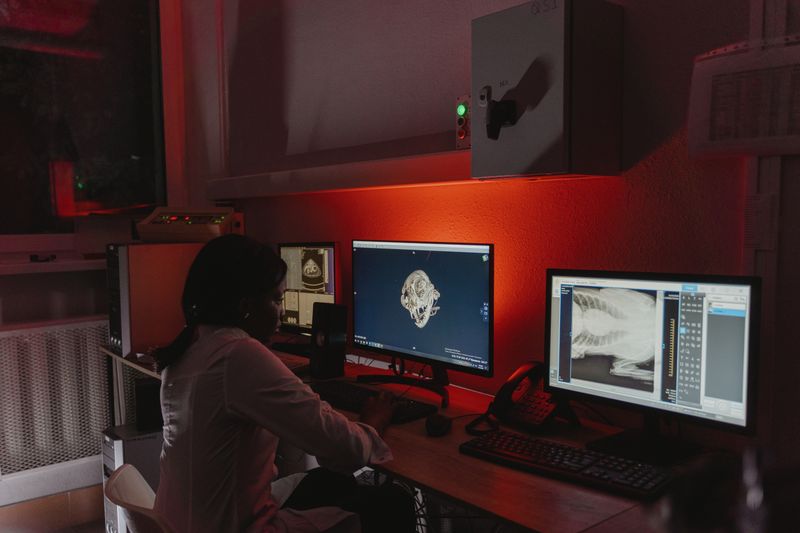 Veterinary X-Ray and Diagnostics