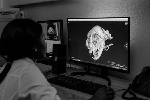 A woman analyzes medical diagnostics on screen in a black and white office setting.