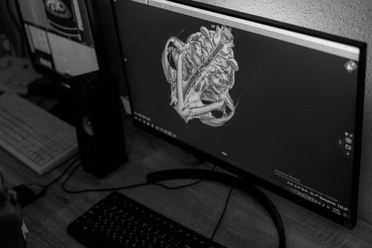 A black and white image of a skull on a computer monitor in a workspace.