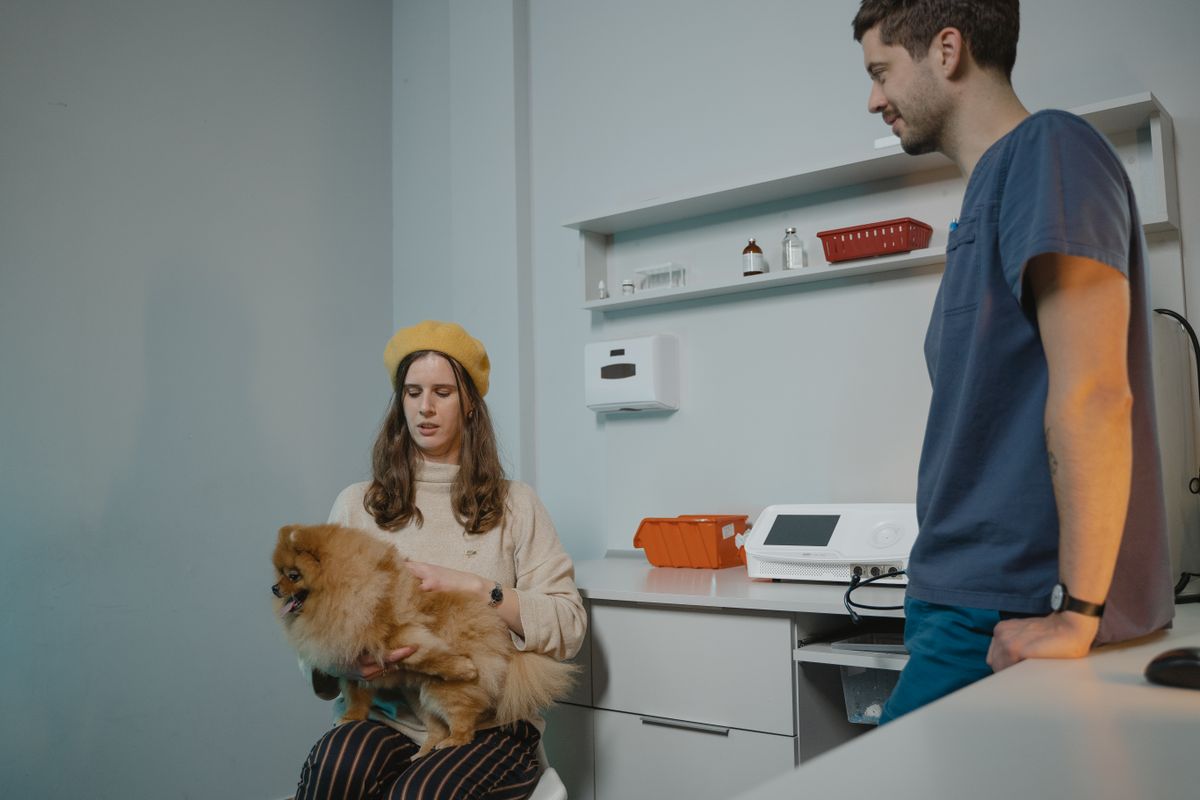 How to Chat With a Vet Online: A Complete Guide