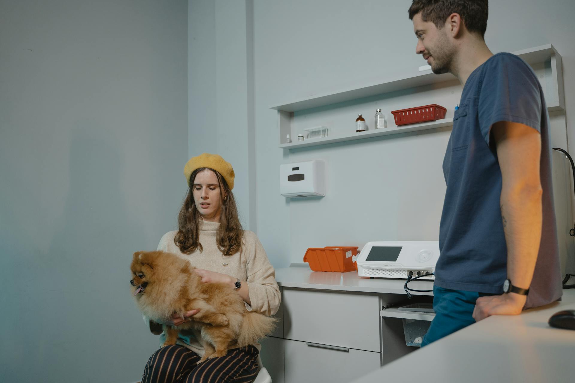 Une femme portant un chien de Poméranie assise sur une chaise près d'un homme en uniforme bleu