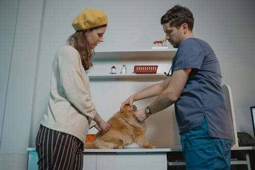 Free Man in Blue Scrub Suit Holding a Dog Stock Photo