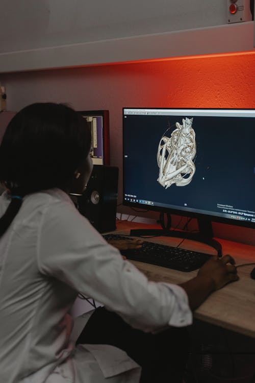 A Woman Looking at an Image in the Computer Monitor