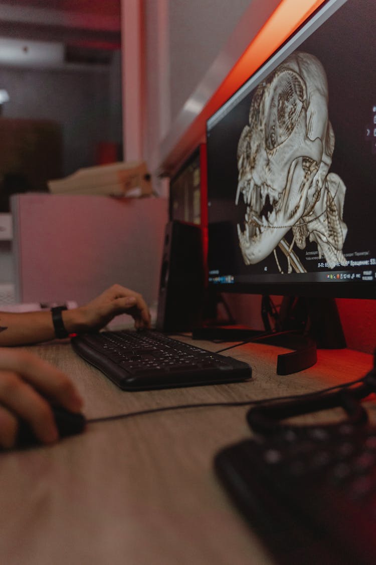 An Animal Head X-ray Image On The Computer Monitor