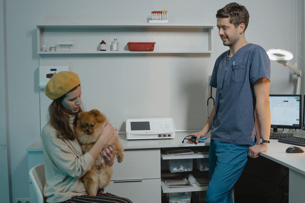 Tierärztin bespricht den Befund mit einer Hundehalterin in der Praxis