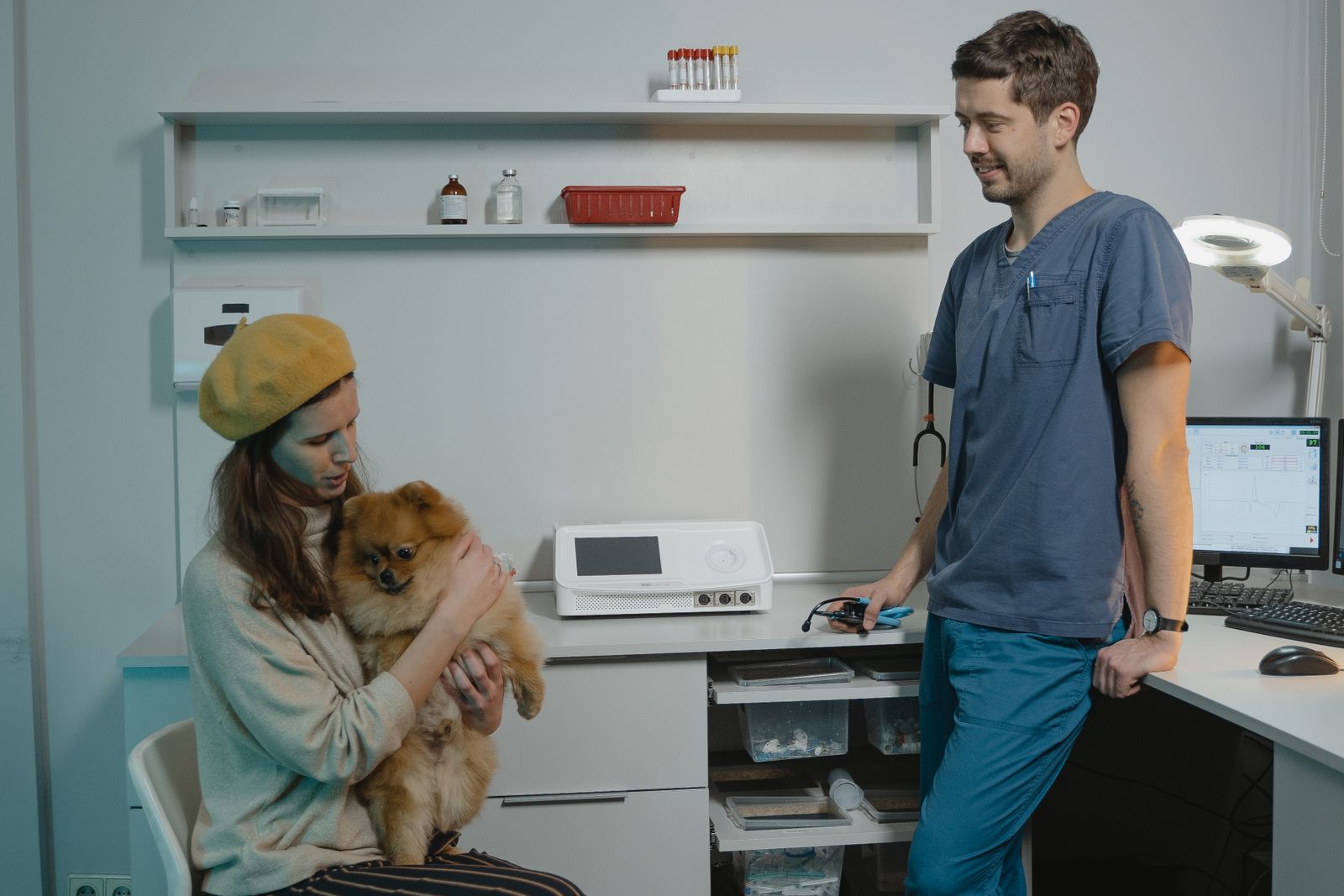 Un vétérinaire dans une clinique consulte avec une propriétaire d'animal