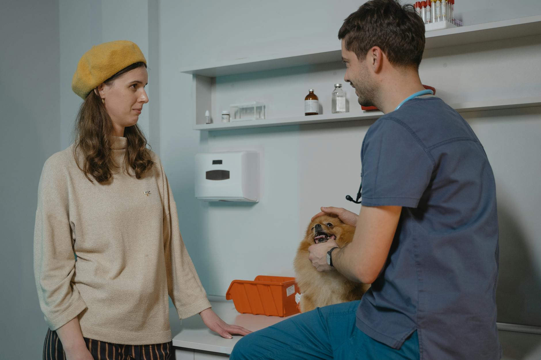 Veterinarian consulting with dog owner in a clinic while holding a Pomeranian