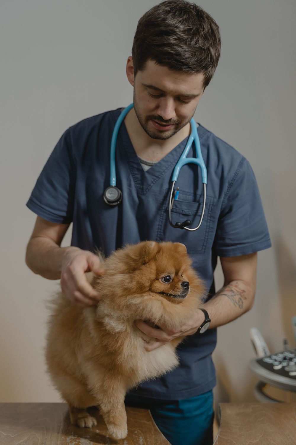 A pet professional holding a happy pomeranian