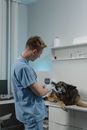 A Veterinarian Checking a Dog Using a Diagnostic Tool